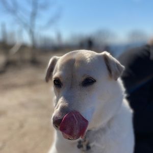 Meet your Posher, Thomas